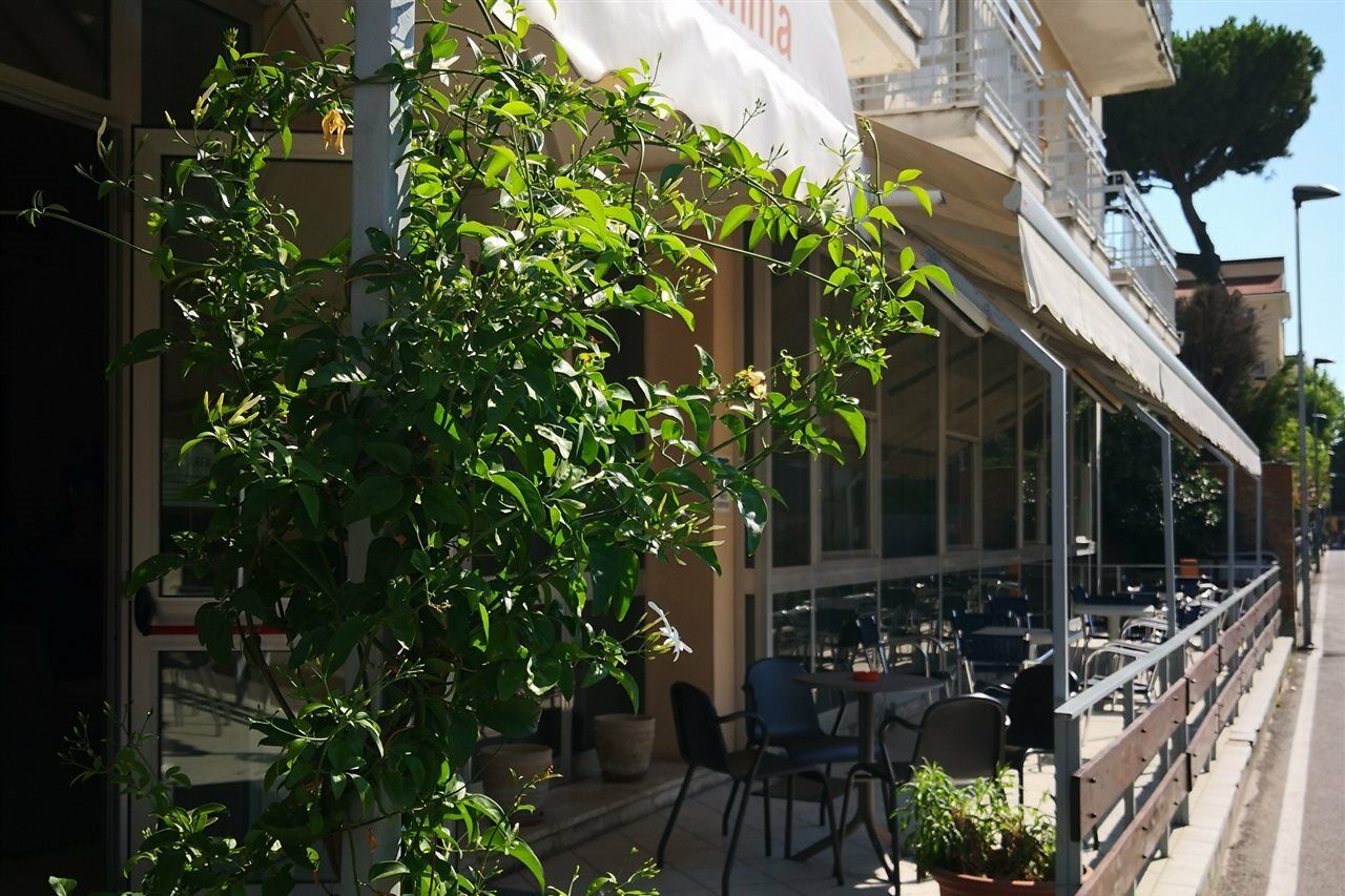 Hotel Gemma Rimini Zewnętrze zdjęcie